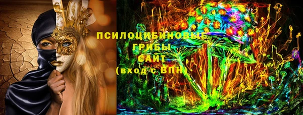 соль ск Балахна