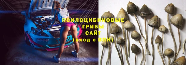 соль ск Балахна
