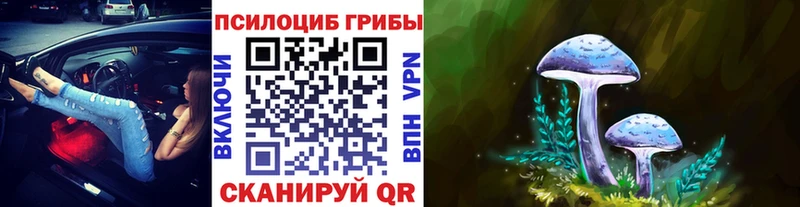 Купить закладки  Суворов  Псилоцибиновые грибы Cubensis 